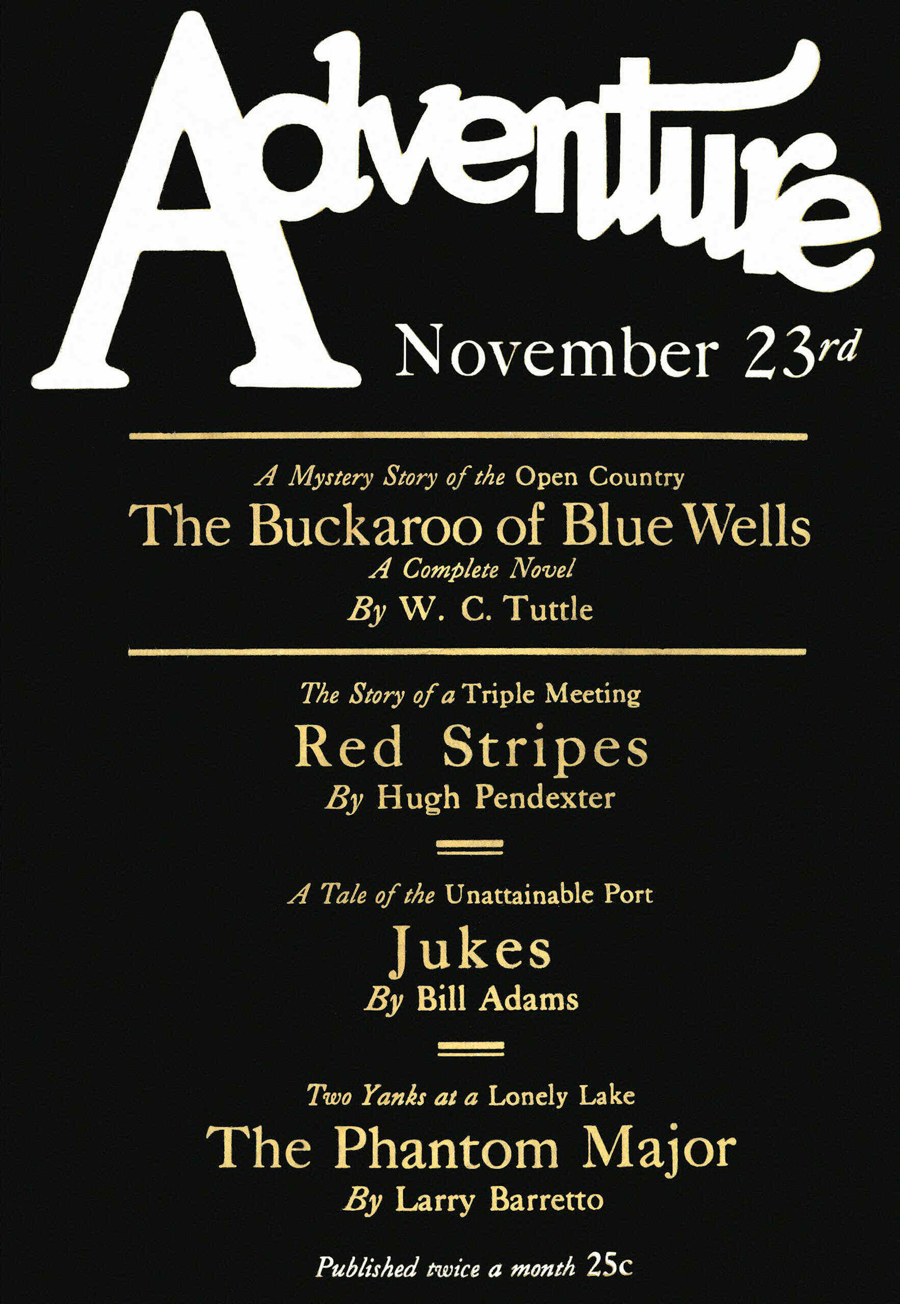 Cover of The Buckaroo of Blue Wells