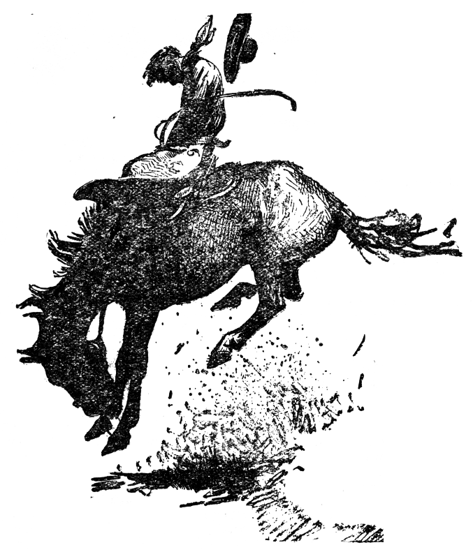 cowboy riding a bucking horse