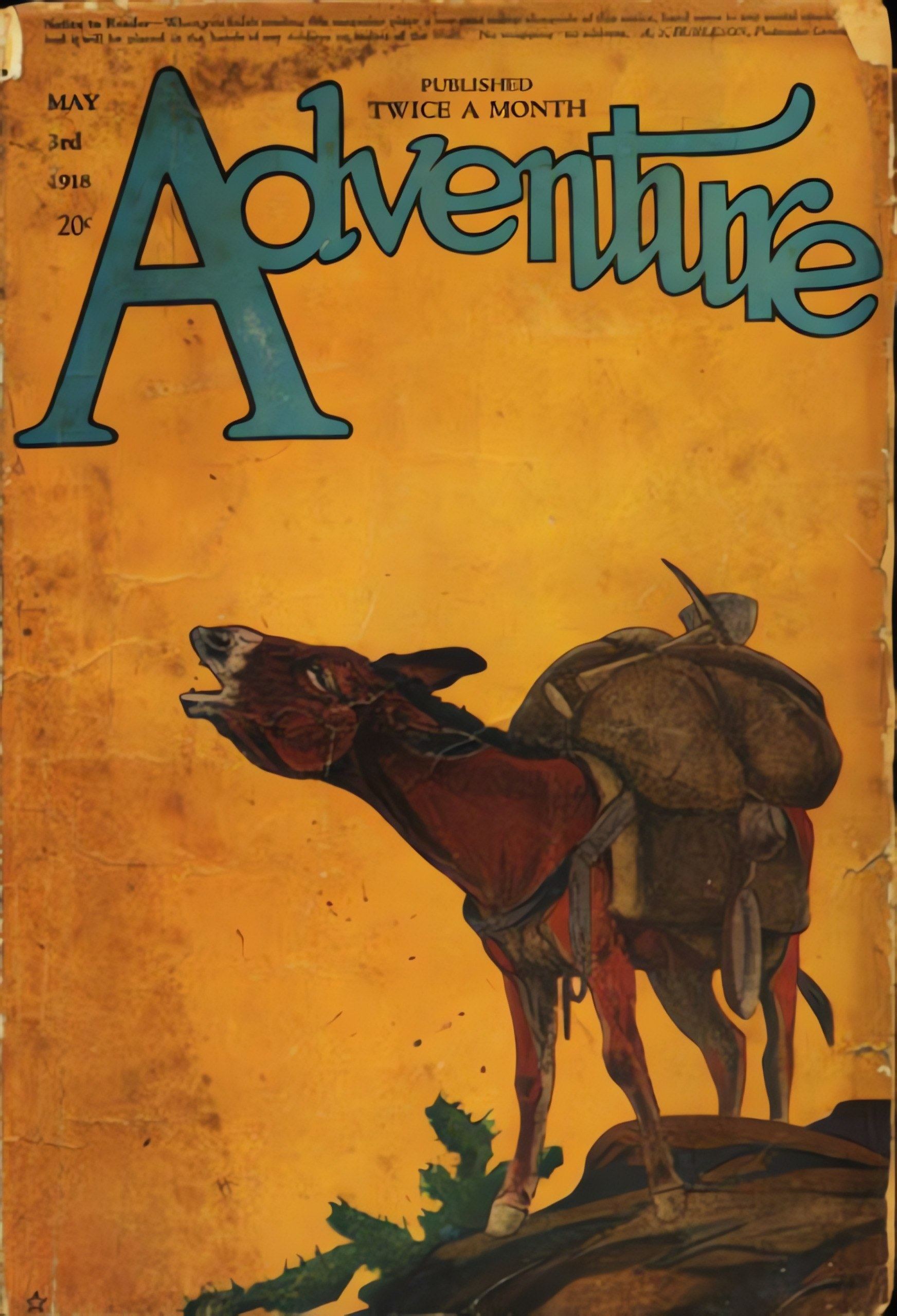 Cover of Salt of the Earth